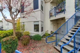 Photo #2: 221141423 Listing 