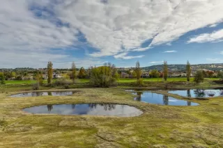 Photo #2: 221142713 Listing