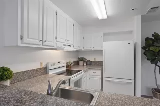 Photo #1: 221143247 Listing 
