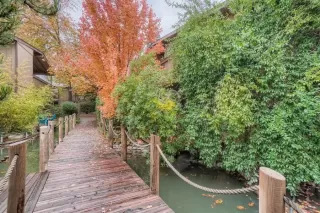 Photo #1: 221143596 Listing 