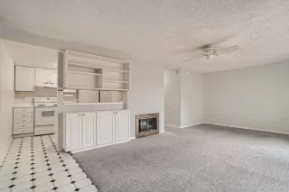 Photo #4: 221143596 Listing 