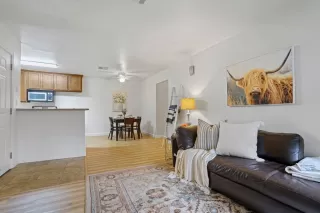 Photo #6: 221143749 Listing
