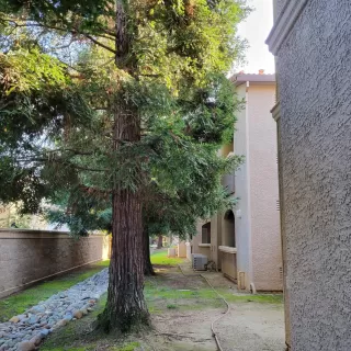 Photo #2: 221144166 Listing 