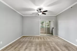 Photo #5: 221144166 Listing 
