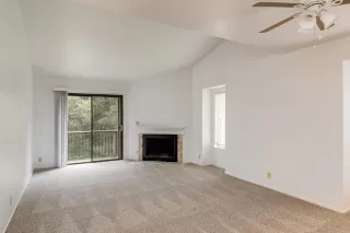 Photo #2: 221145998 Listing