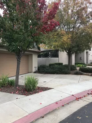 Photo #1: 221146775 Listing