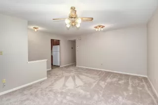 Photo #4: 221146998 Listing 