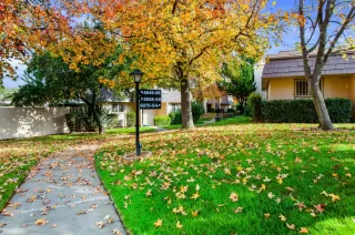 Photo #2: 221147752 Listing 