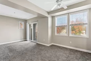 Photo #4: 221149147 Listing