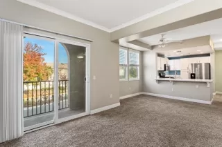 Photo #6: 221149147 Listing