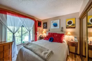 Photo #6: 221149247 Listing 