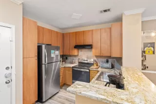 Photo #6: 221150258 Listing 