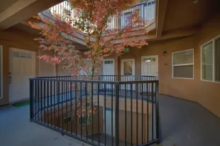 Photo #4: 221150552 Listing