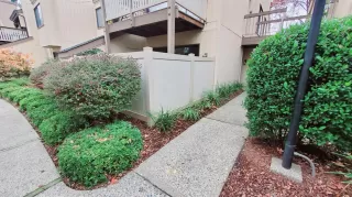 Photo #2: 221151664 Listing