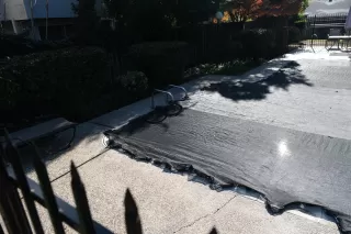 Photo #4: 221152826 Listing