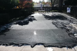 Photo #6: 221152826 Listing