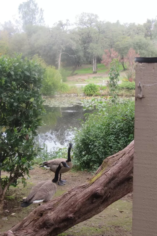 MLS: 221153203 Condo For Sale