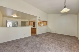 Photo #6: 221153794 Listing