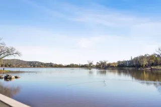 Photo #2: 221154263 Listing 