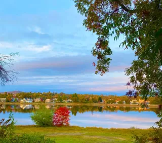 Photo #3: 221154263 Listing 