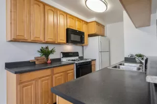 Photo #5: 221154635 Listing 