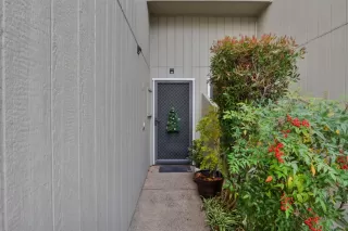 Photo #1: 221154804 Listing