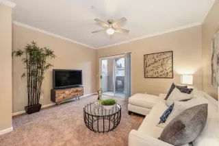 Photo #3: 221155393 Listing 