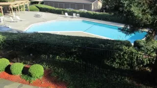 Photo #3: 221155499 Listing 