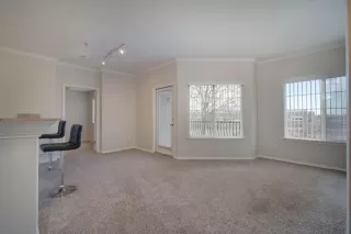 Photo #5: 221155828 Listing