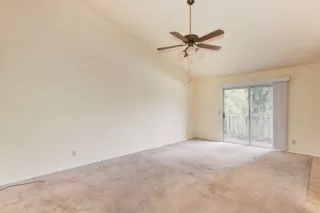 Photo #6: 222001309 Listing 