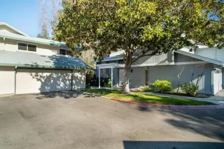 Photo #1: 222005296 Listing