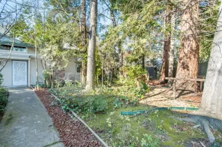 Photo #4: 222005296 Listing