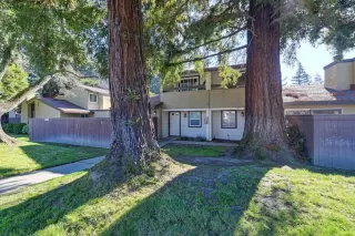 Photo #1: 222006131 Listing