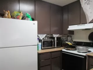 Photo #2: 222011594 Listing 