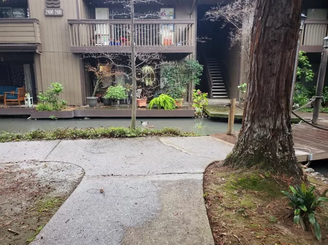 MLS: 222015375 Condo For Sale