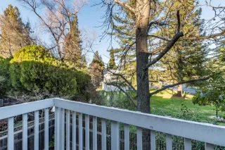 Photo #3: 222015915 Listing