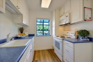 Photo #6: 222016805 Listing