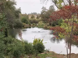 Photo #4: 222019014 Listing 