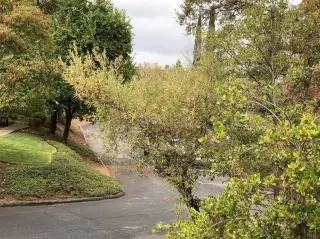 Photo #6: 222019014 Listing 