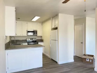 Photo #4: 222021377 Listing 