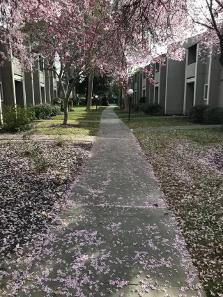 Photo #2: 222023944 Listing