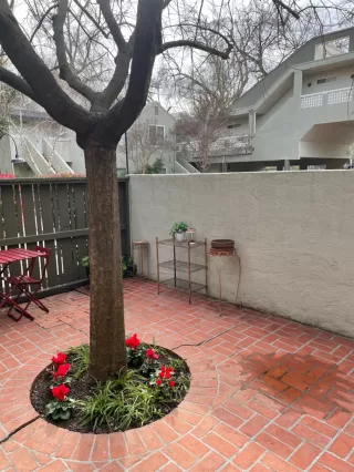 Photo #2: 222024626 Listing