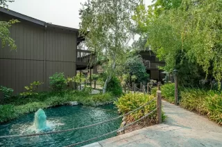 Photo #6: 222026091 Listing 