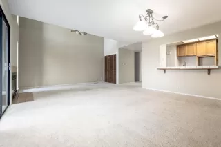 Photo #4: 222026635 Listing 