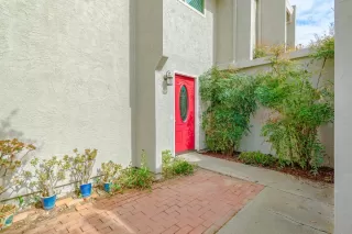 Photo #1: 222027824 Listing 