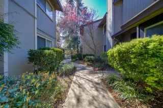 Photo #2: 222028673 Listing