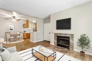 Photo #2: 222028738 Listing 