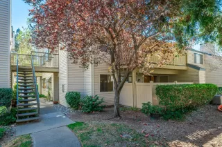 Photo #5: 222029786 Listing 