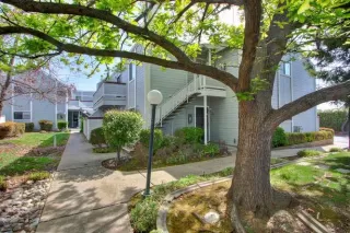 Photo #1: 222030242 Listing 