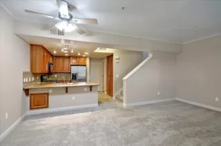 Photo #5: 222030719 Listing